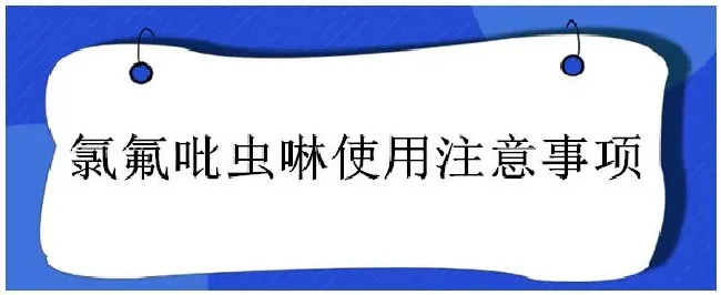 氯氟吡虫啉使用注意事项 | 三农答疑