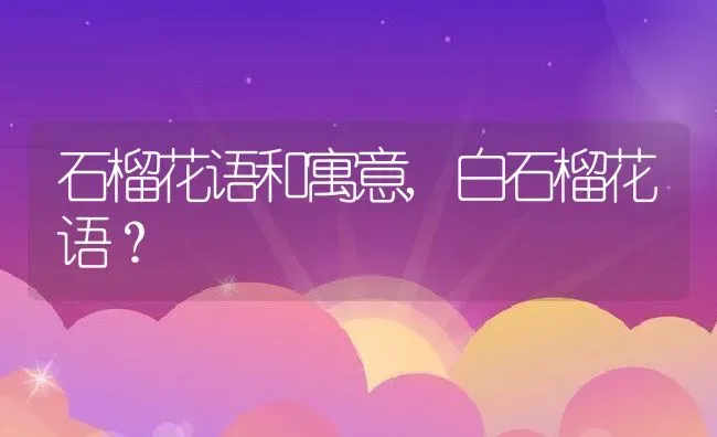 石榴花语和寓意,白石榴花语？ | 养殖常见问题