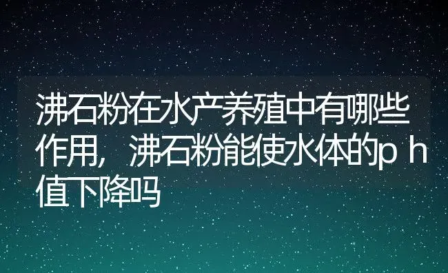 沸石粉在水产养殖中有哪些作用,沸石粉能使水体的ph值下降吗 | 养殖常见问题