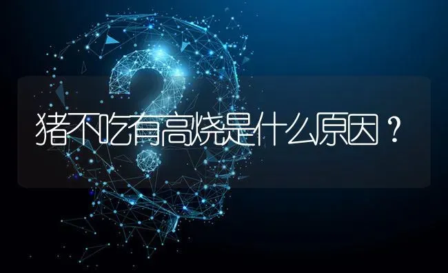 猪不吃有高烧是什么原因? | 养殖问题解答