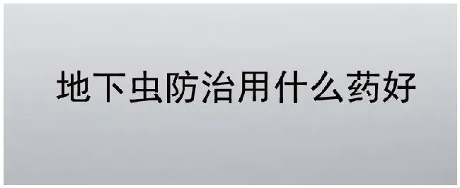 地下虫防治用什么药好 | 三农答疑