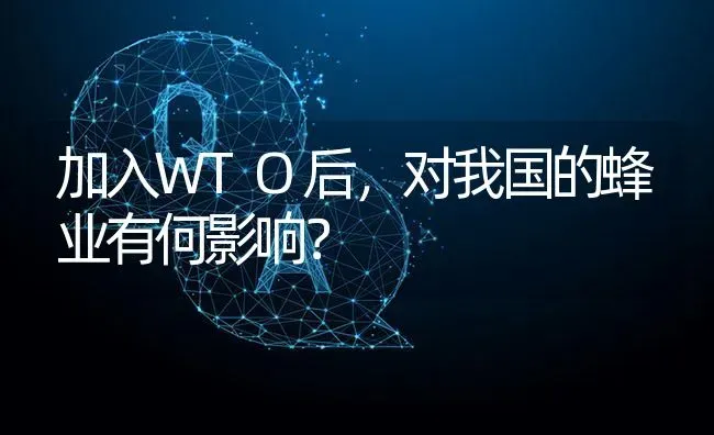 加入WTO后,对我国的蜂业有何影响? | 养殖问题解答