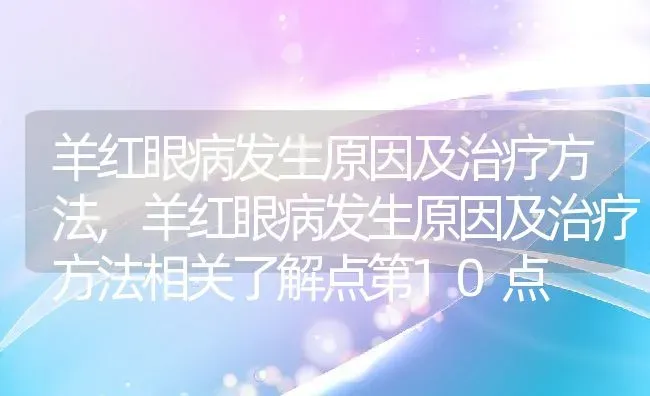 羊红眼病发生原因及治疗方法,羊红眼病发生原因及治疗方法相关了解点第10点 | 养殖常见问题