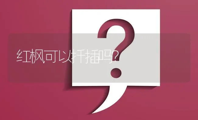红枫可以扦插吗? | 养殖问题解答