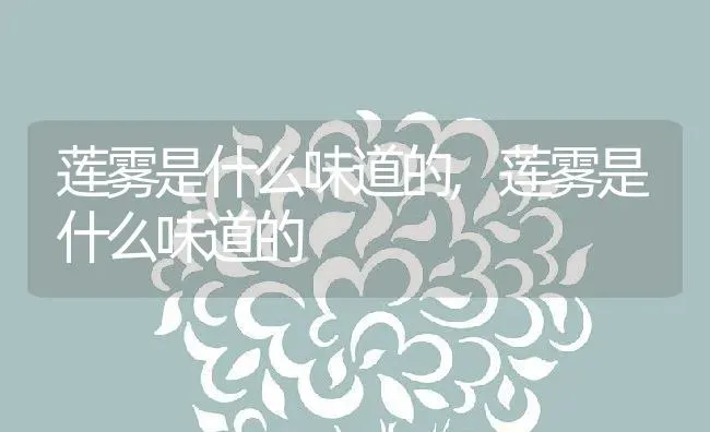 莲雾是什么味道的,莲雾是什么味道的 | 养殖常见问题