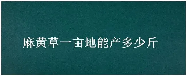 麻黄草一亩地能产多少斤 | 农业问题