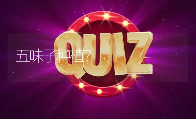五味子种植? | 养殖问题解答
