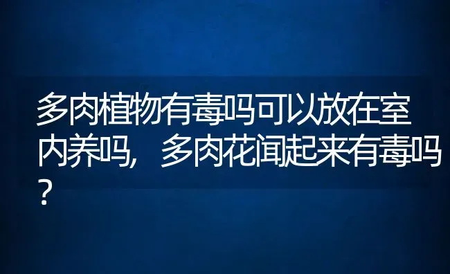 多肉植物有毒吗可以放在室内养吗,多肉花闻起来有毒吗？ | 养殖常见问题