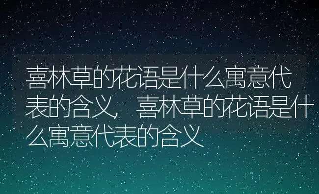 喜林草的花语是什么寓意代表的含义,喜林草的花语是什么寓意代表的含义 | 养殖常见问题