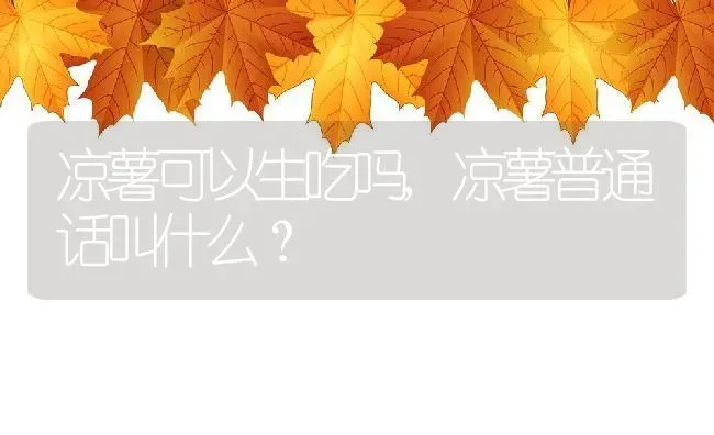 凉薯可以生吃吗,凉薯普通话叫什么？ | 养殖常见问题