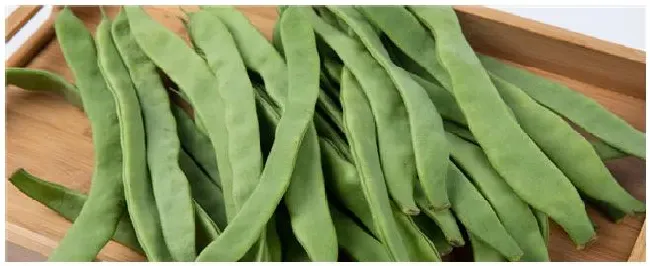 四季豆落花落荚怎么办 | 农业答疑