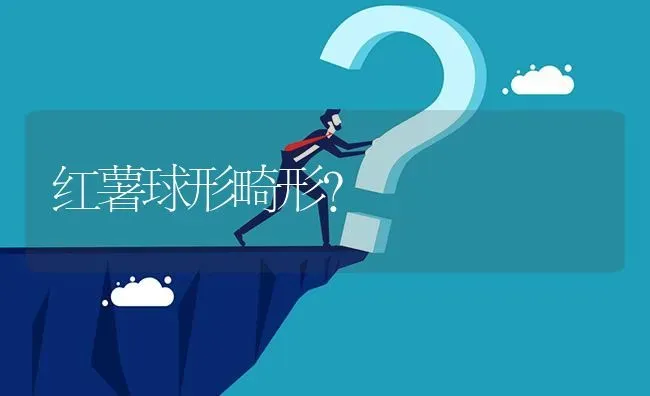 红薯球形畸形? | 养殖问题解答