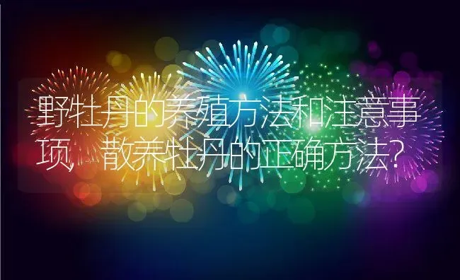 野牡丹的养殖方法和注意事项,散养牡丹的正确方法？ | 养殖常见问题