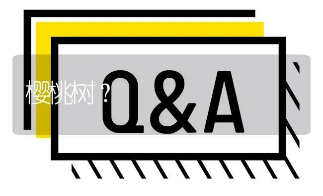 樱桃树? | 养殖问题解答