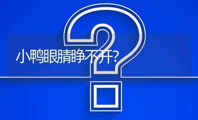 小鸭眼腈睁不开? | 养殖问题解答