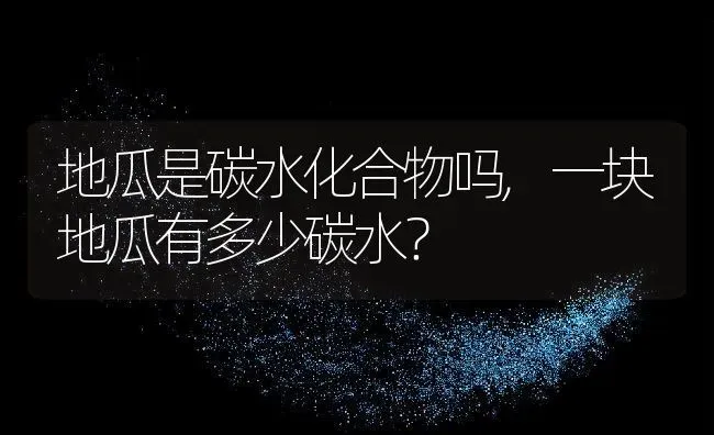 地瓜是碳水化合物吗,一块地瓜有多少碳水？ | 养殖常见问题