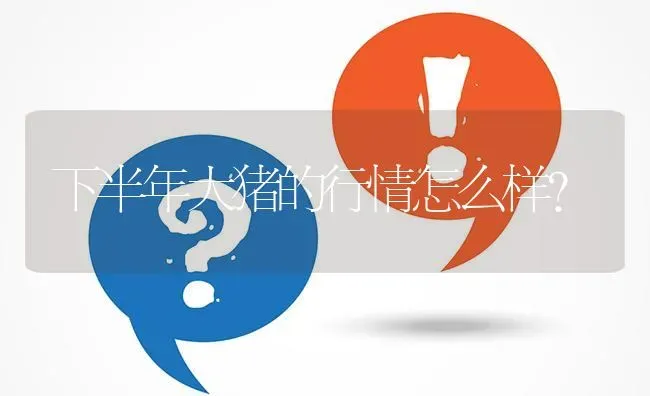 下半年大猪的行情怎么样? | 养殖问题解答