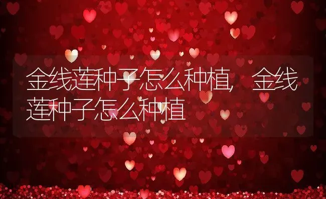 金线莲种子怎么种植,金线莲种子怎么种植 | 养殖常见问题