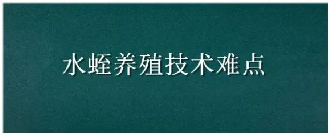 水蛭养殖技术难点 | 农业答疑