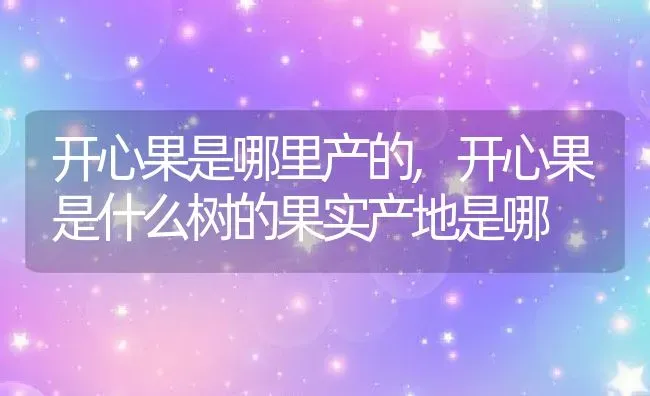 开心果是哪里产的,开心果是什么树的果实产地是哪 | 养殖常见问题
