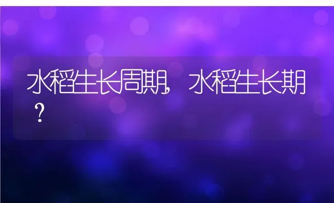 水稻生长周期,水稻生长期？ | 养殖常见问题