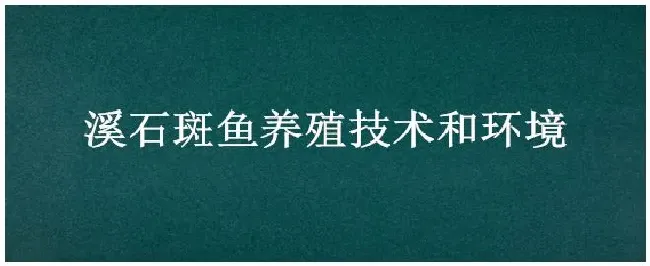 溪石斑鱼养殖技术和环境 | 农业答疑