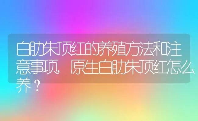 白肋朱顶红的养殖方法和注意事项,原生白肋朱顶红怎么养？ | 养殖常见问题