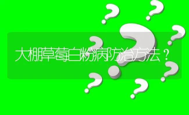 大棚草莓白粉病防治方法? | 养殖问题解答