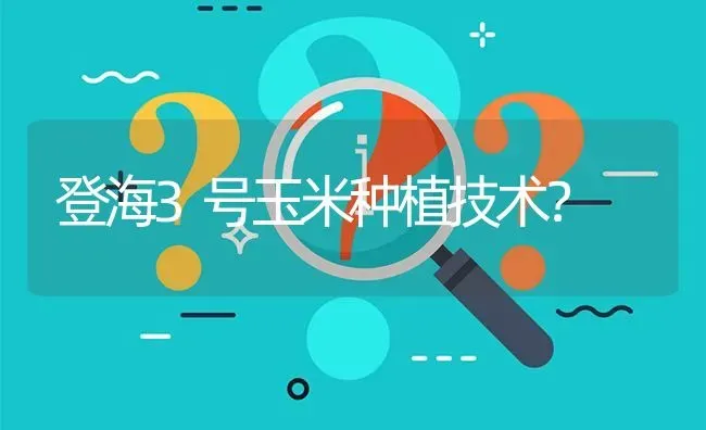 登海3号玉米种植技术? | 养殖问题解答