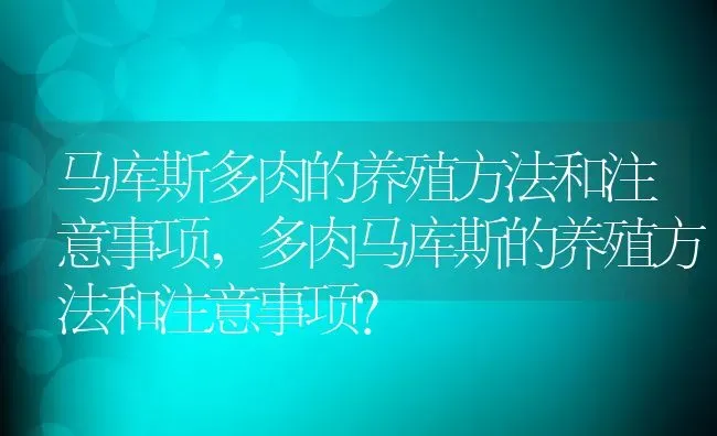 马库斯多肉的养殖方法和注意事项,多肉马库斯的养殖方法和注意事项？ | 养殖常见问题