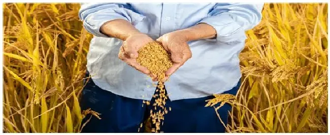 新型职业农民的特征 | 科普知识