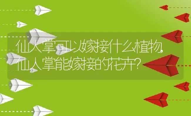 仙人掌可以嫁接什么植物,仙人掌能嫁接的花卉？ | 养殖常见问题