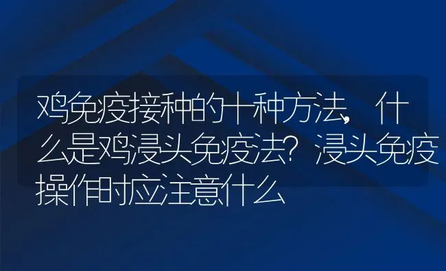 鸡免疫接种的十种方法,什么是鸡浸头免疫法？浸头免疫操作时应注意什么 | 养殖常见问题