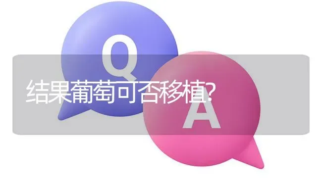 结果葡萄可否移植? | 养殖问题解答