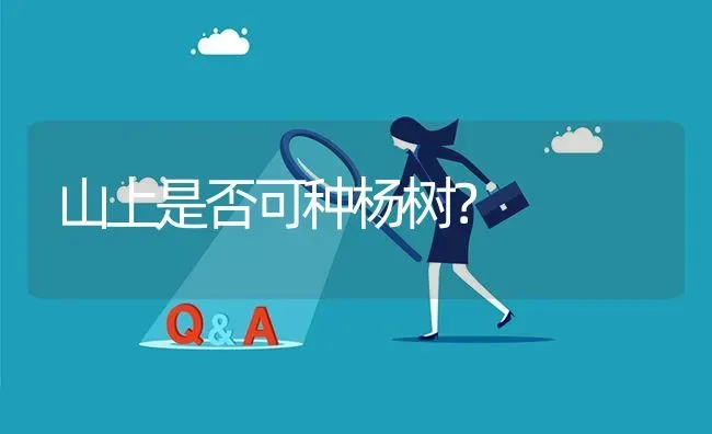 山上是否可种杨树? | 养殖问题解答