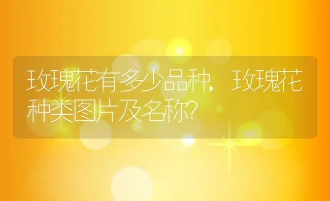 龙骨花的功效与作用,龙骨花花边小叶子掉了还能长吗？ | 养殖常见问题