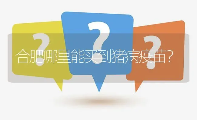 合肥哪里能买到猪病疫苗? | 养殖问题解答