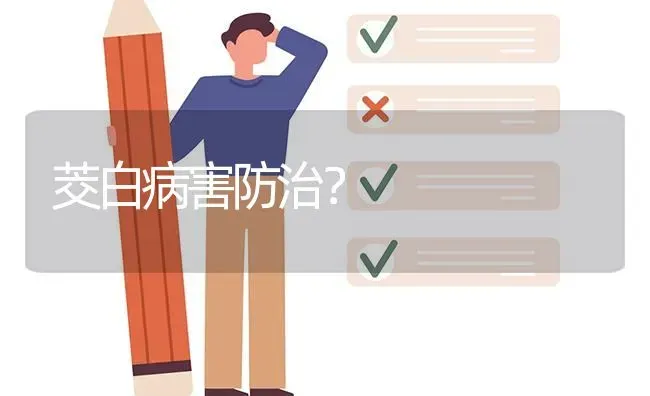 茭白病害防治? | 养殖问题解答
