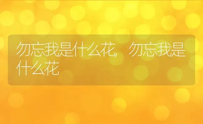 仙客来花期多长时间花期是什么时候,仙客来种球什么时候长大？ | 养殖常见问题