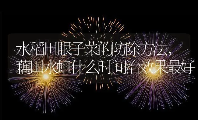 玉树扦插生根最快方法,玉树扦插后可马上倒生根粉吗 | 养殖常见问题