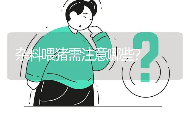 杂料喂猪需注意哪些? | 养殖问题解答