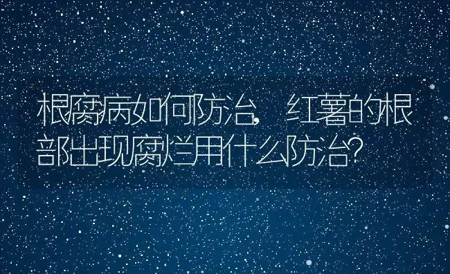 根腐病如何防治,红薯的根部出现腐烂用什么防治？ | 养殖常见问题