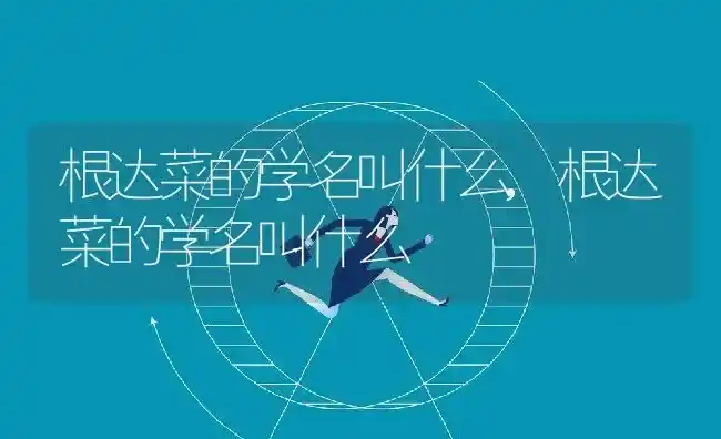根达菜的学名叫什么,根达菜的学名叫什么 | 养殖常见问题
