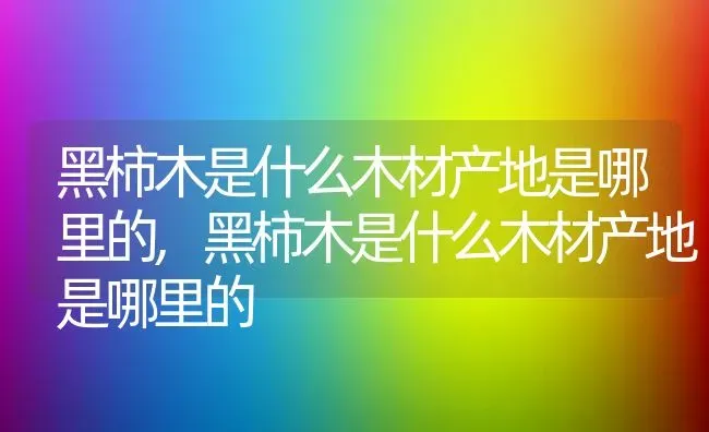 黑柿木是什么木材产地是哪里的,黑柿木是什么木材产地是哪里的 | 养殖常见问题