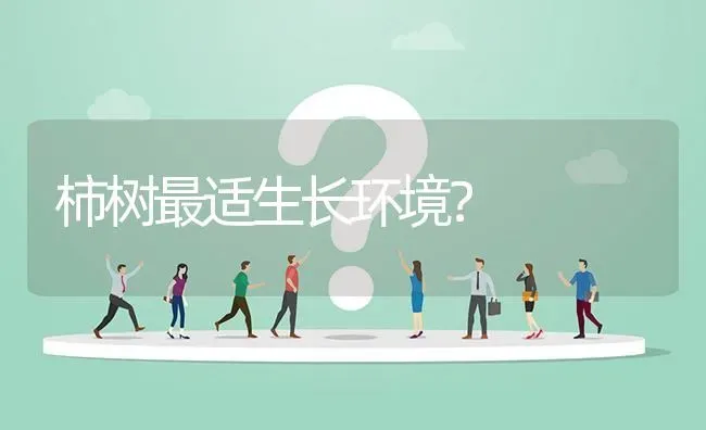 柿树最适生长环境? | 养殖问题解答