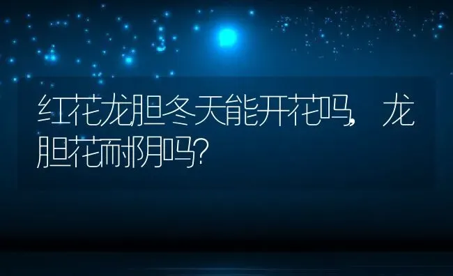 红花龙胆冬天能开花吗,龙胆花耐阴吗？ | 养殖常见问题