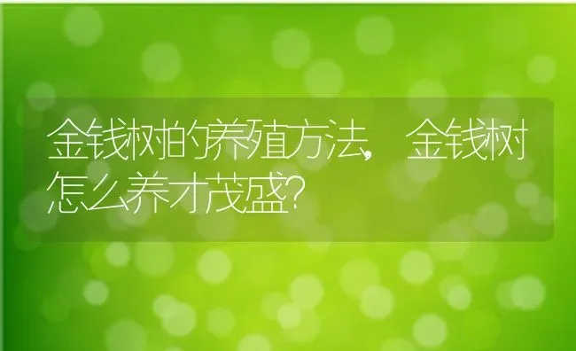 金钱树的养殖方法,金钱树怎么养才茂盛？ | 养殖常见问题