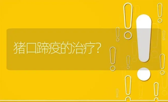 猪口蹄疫的治疗? | 养殖问题解答