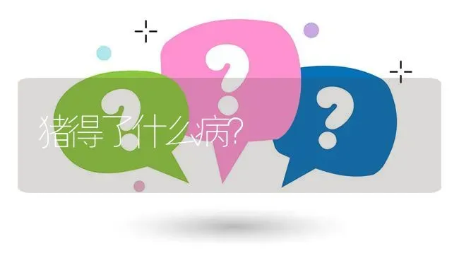 猪得了什么病? | 养殖问题解答