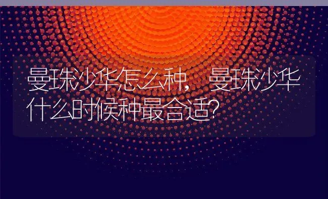 曼珠沙华怎么种,曼珠沙华什么时候种最合适？ | 养殖常见问题